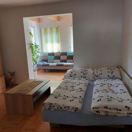 Grimmingapartment Maier Stainach Экстерьер фото