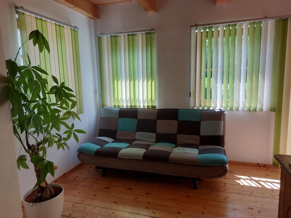 Grimmingapartment Maier Stainach Экстерьер фото